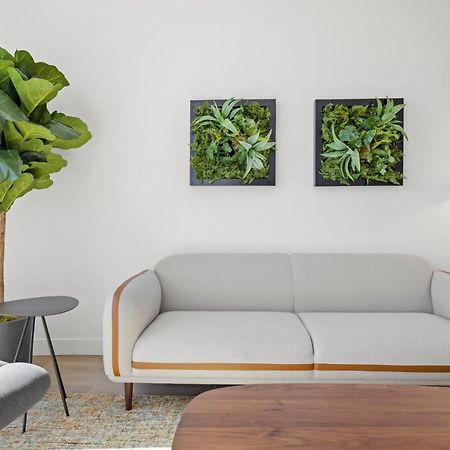 Whyhotel By Placemakr, San Jose Esterno foto